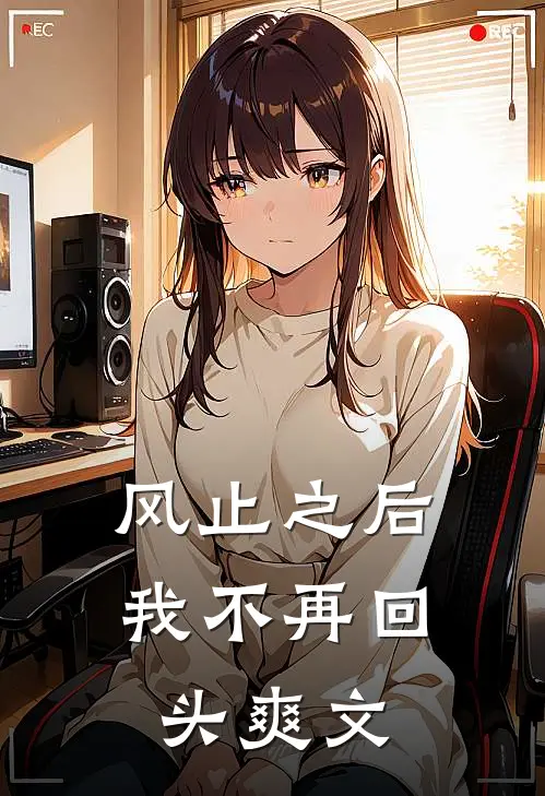 风止之后，我不再回头爽文