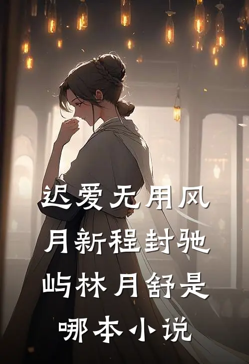 迟爱无用风月新程封驰屿林月舒是哪本小说