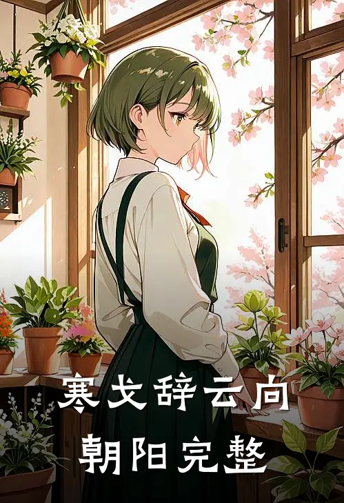 寒戈辞云向朝阳完整