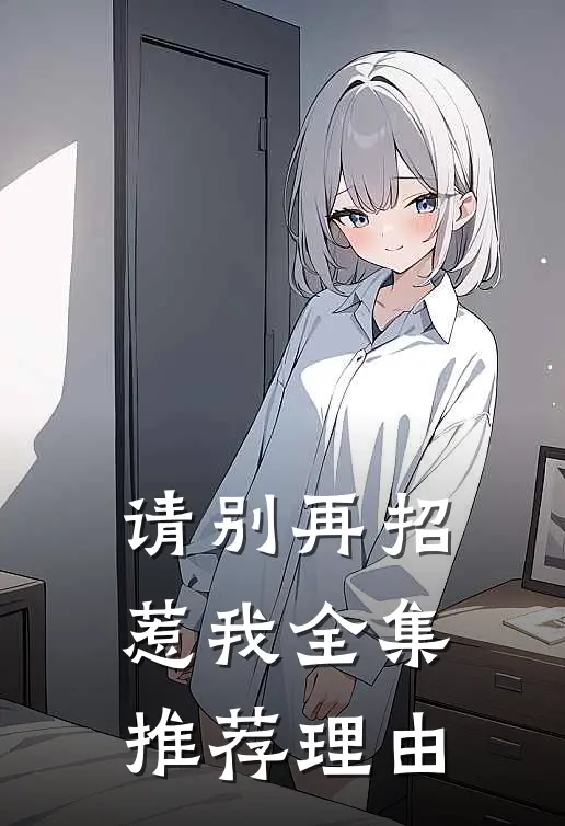 请别再招惹我全集推荐理由