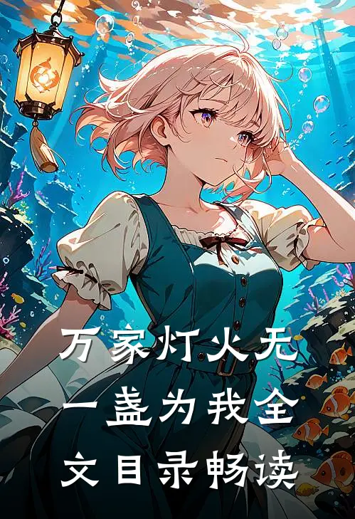 万家灯火无一盏为我全文目录畅读