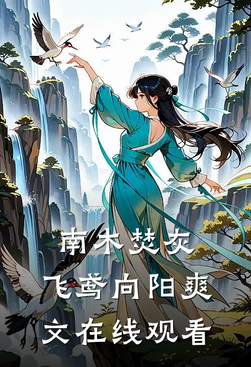 南木焚灰，飞鸢向阳爽文在线观看