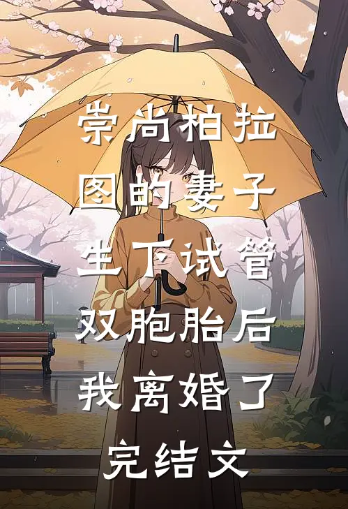 崇尚柏拉图的妻子生下试管双胞胎后，我离婚了完结文
