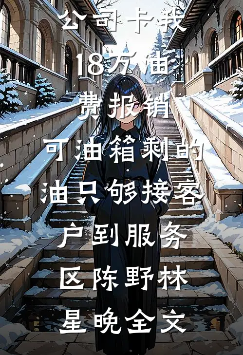公司卡我18万油费报销，可油箱剩的油只够接客户到服务区陈野林星晚全文