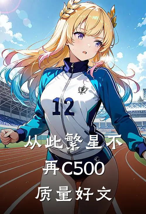 从此繁星不再C500质量好文