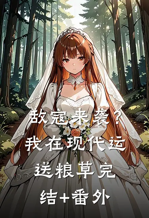 敌寇来袭？我在现代运送粮草完结+番外