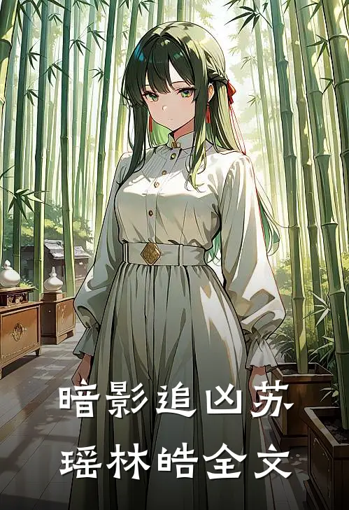 《暗影追凶》苏瑶林皓全文