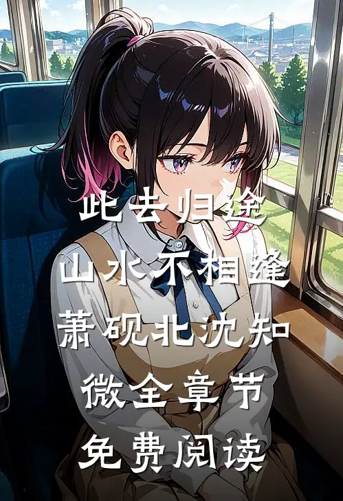 此去归途，山水不相逢萧砚北沈知微全章节免费阅读