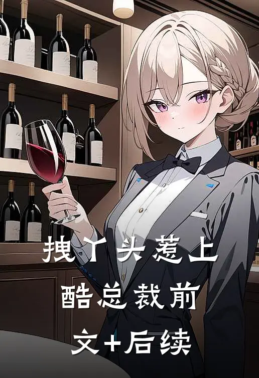 拽丫头惹上酷总裁前文+后续