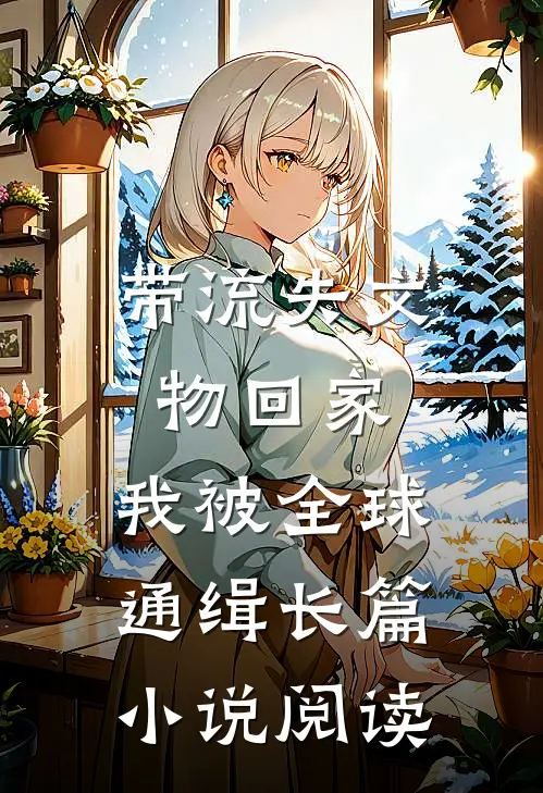 带流失文物回家，我被全球通缉长篇小说阅读