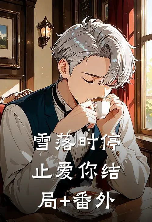 雪落时停止爱你结局+番外