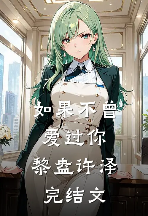 如果不曾爱过你.黎盎许泽完结文