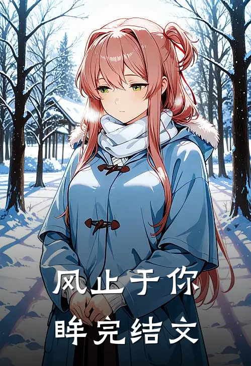 风止于你眸完结文