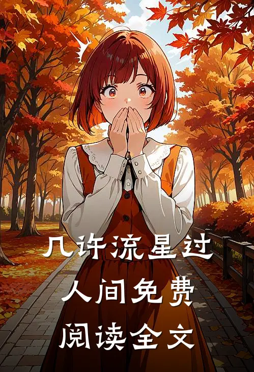 几许流星过人间免费阅读全文