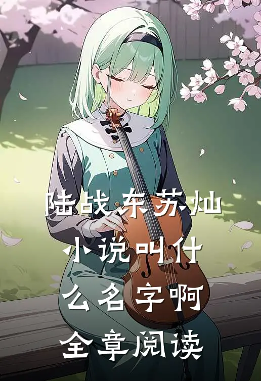 陆战东苏灿小说叫什么名字啊全章阅读