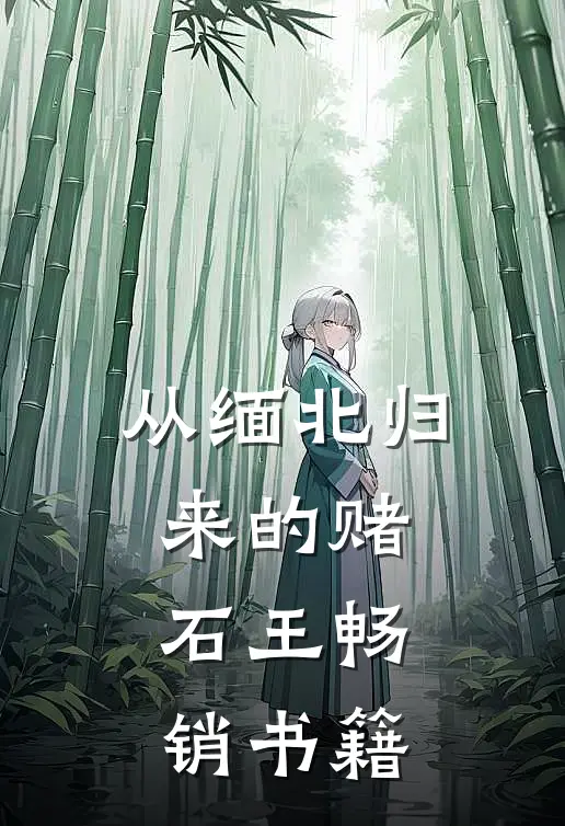 从缅北归来的赌石王畅销书籍