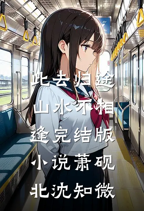 此去归途，山水不相逢完结版小说萧砚北沈知微