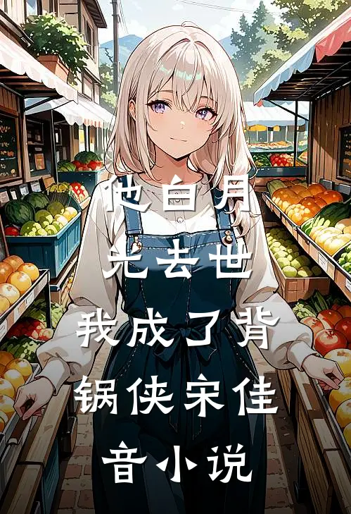 他白月光去世，我成了背锅侠宋佳音小说