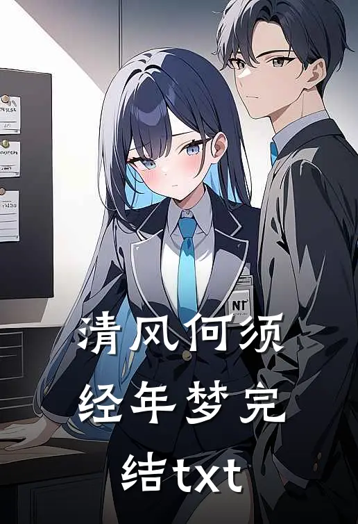 清风何须经年梦完结txt
