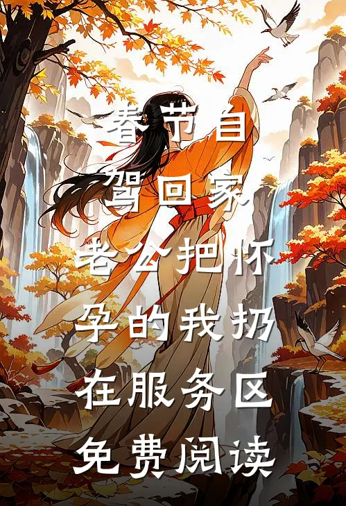 春节自驾回家，老公把怀孕的我扔在服务区免费阅读