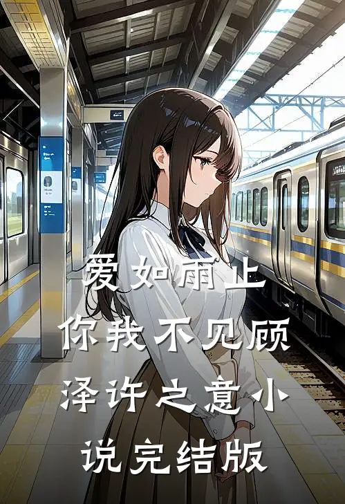 爱如雨止，你我不见顾泽许之意小说完结版