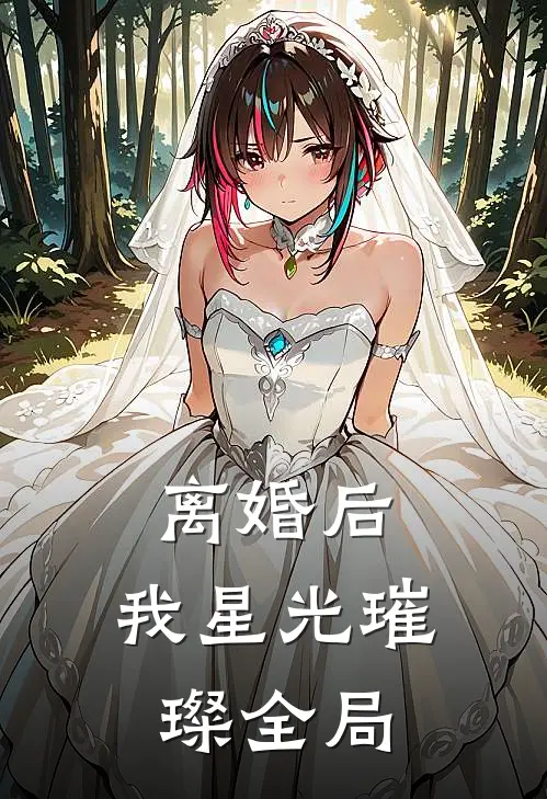 离婚后，我星光璀璨全局