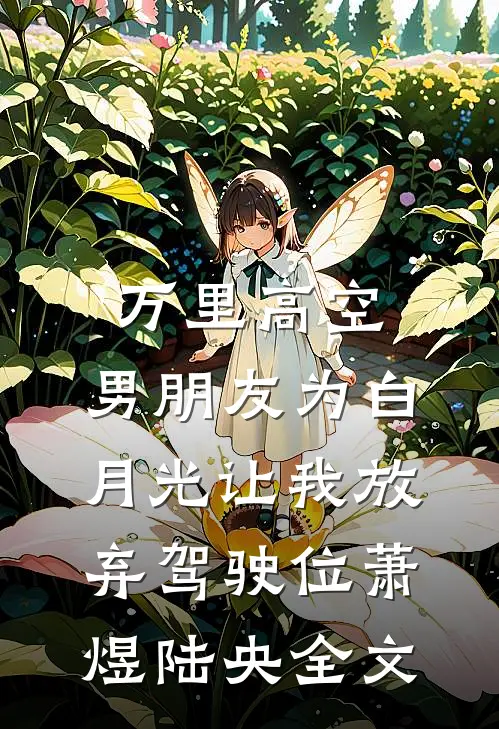 万里高空，男朋友为白月光让我放弃驾驶位萧煜陆央全文