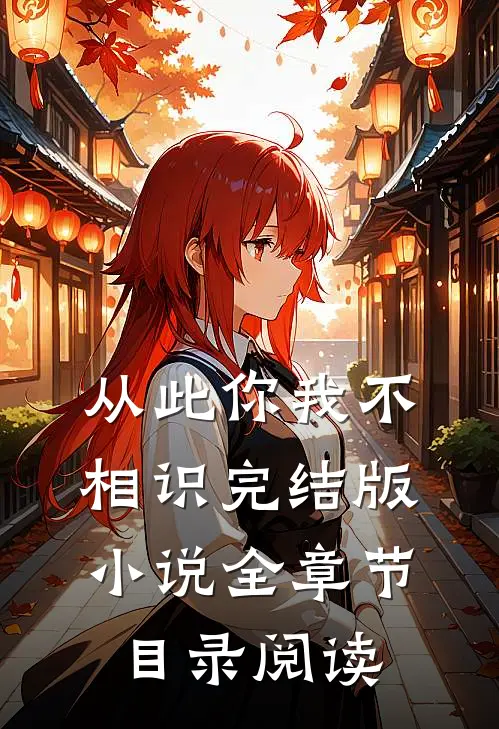 从此你我不相识完结版小说全章节目录阅读