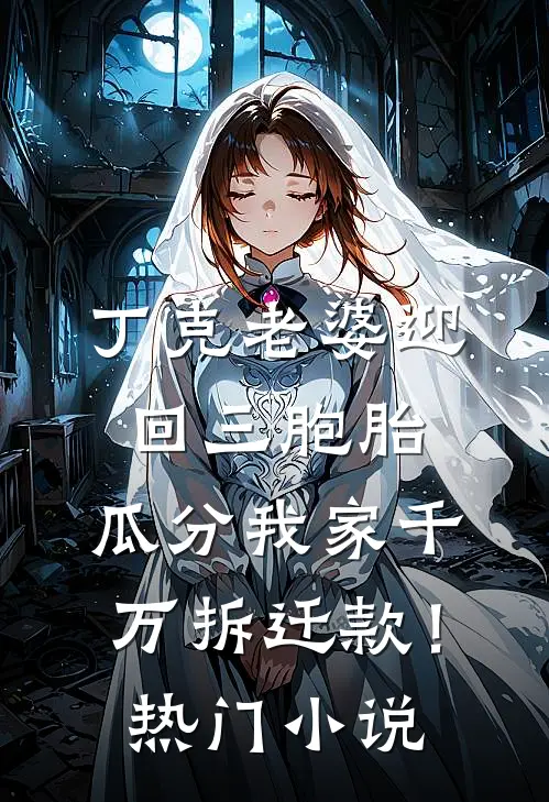 丁克老婆迎回三胞胎，瓜分我家千万拆迁款！热门小说