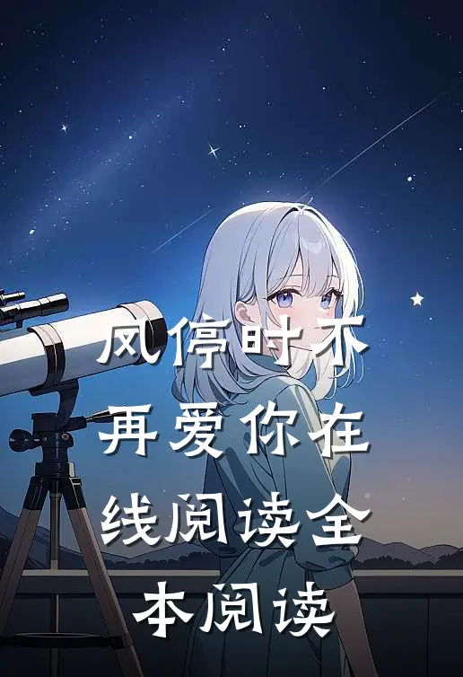 风停时不再爱你在线阅读全本阅读