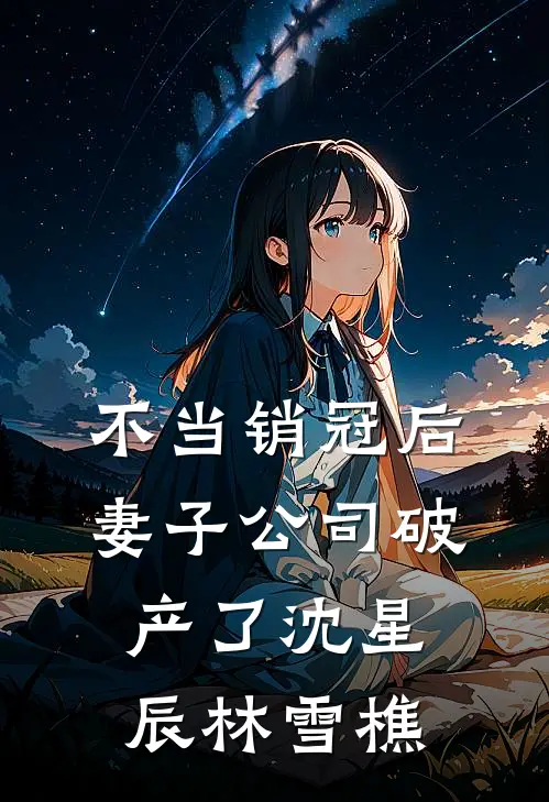 不当销冠后，妻子公司破产了沈星辰林雪樵