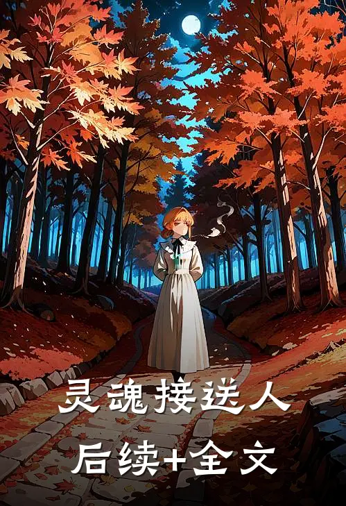灵魂接送人后续+全文