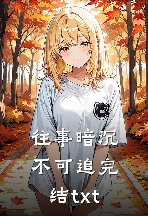往事暗沉不可追完结txt