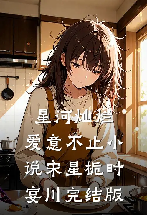 星河灿烂，爱意不止小说宋星栀时宴川完结版