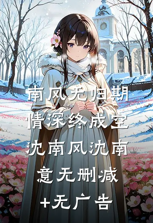 南风无归期，情深终成空沈南风沈南意无删减+无广告