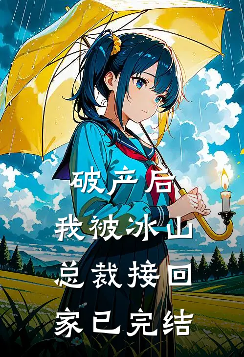 破产后，我被冰山总裁接回家已完结