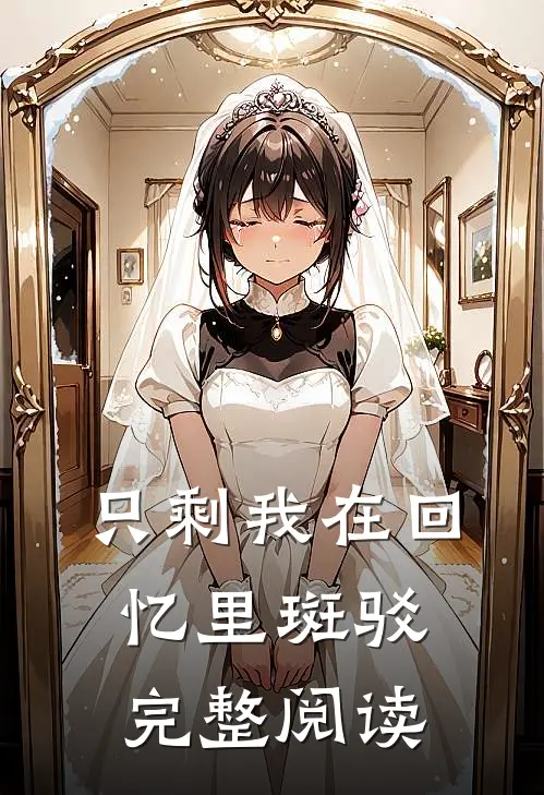 只剩我在回忆里斑驳完整阅读
