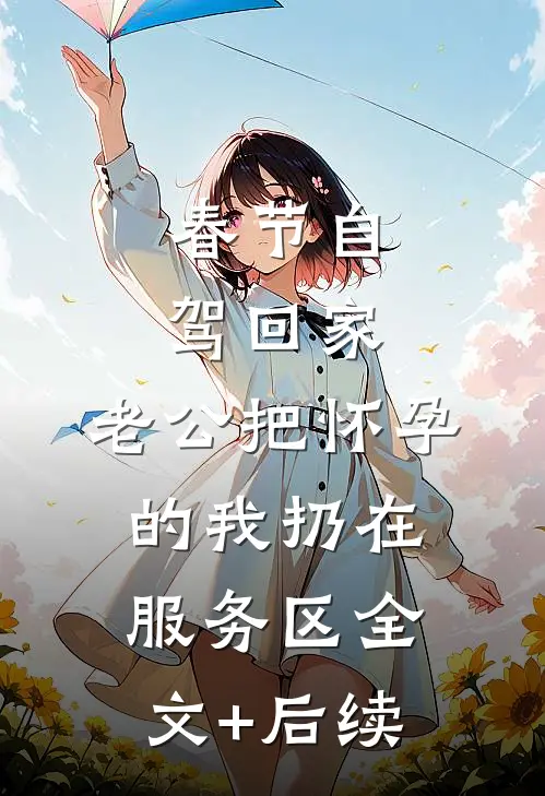 春节自驾回家，老公把怀孕的我扔在服务区全文+后续