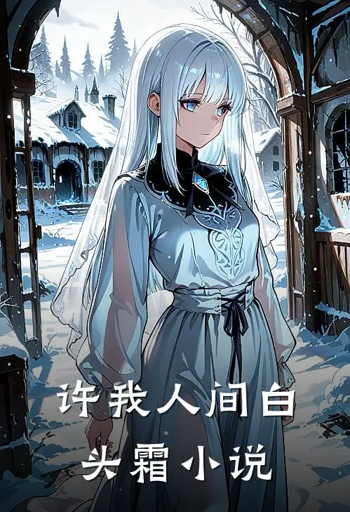 许我人间白头霜小说