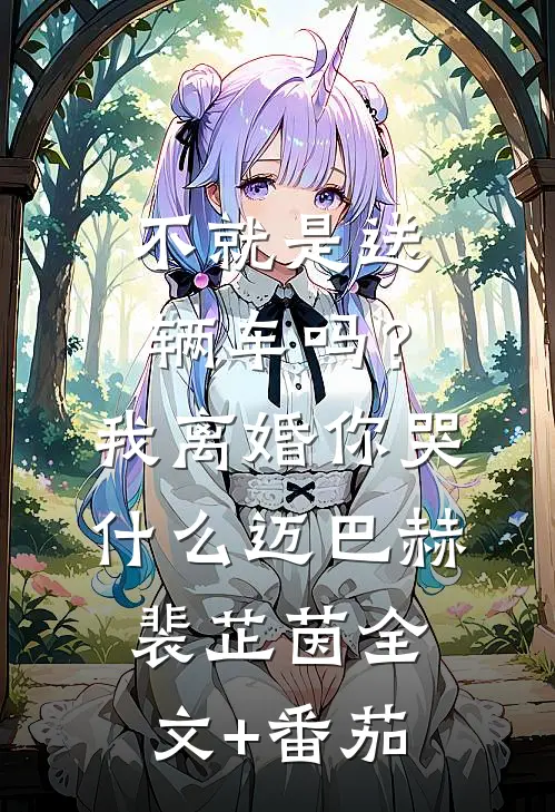 不就是送辆车吗？我离婚你哭什么迈巴赫裴芷茵全文+番茄