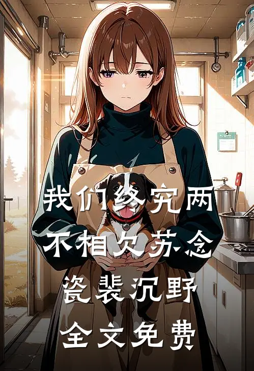 我们终究两不相欠苏念瓷裴沉野全文免费