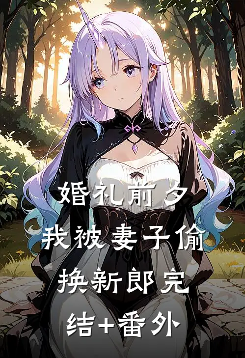 婚礼前夕，我被妻子偷换新郎完结+番外