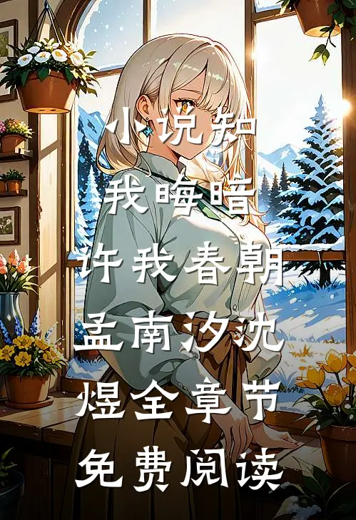 小说知我晦暗，许我春朝孟南汐沈煜全章节免费阅读