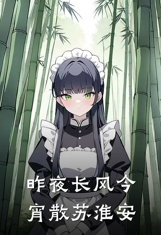 昨夜长风今宵散苏淮安