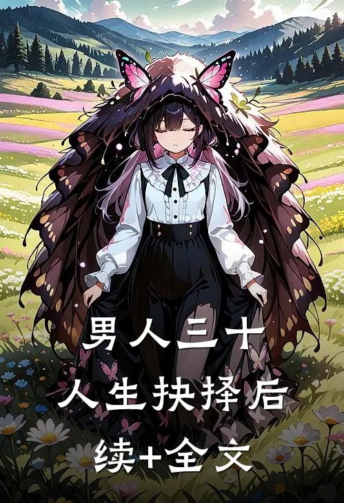 男人三十，人生抉择后续+全文