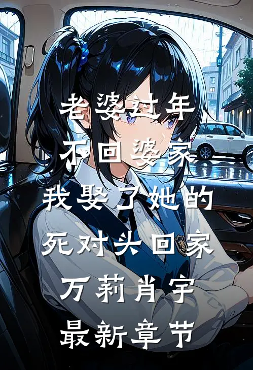 老婆过年不回婆家，我娶了她的死对头回家万莉肖宇最新章节