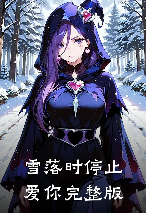 雪落时停止爱你完整版