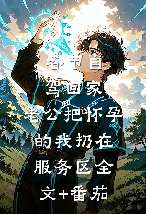 春节自驾回家，老公把怀孕的我扔在服务区全文+番茄
