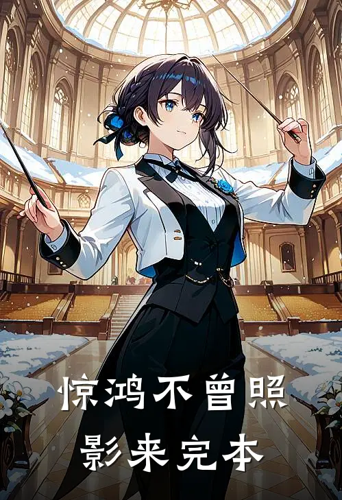 惊鸿不曾照影来完本