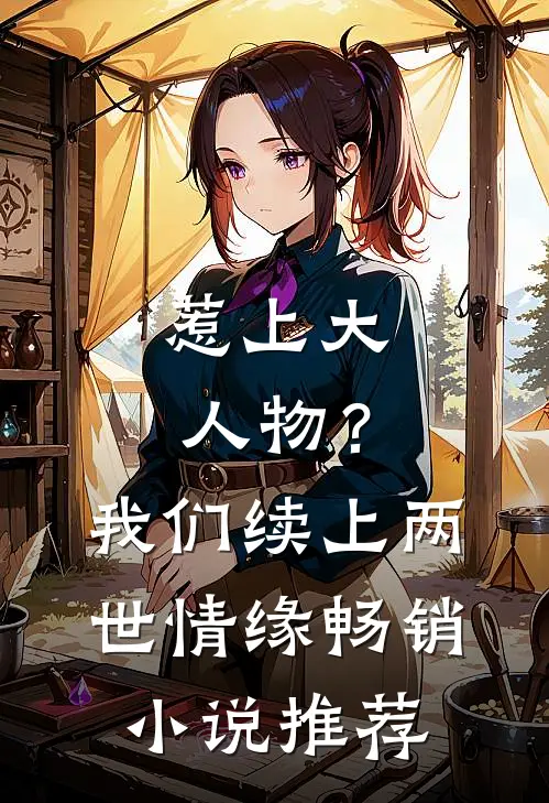 惹上大人物？我们续上两世情缘畅销小说推荐